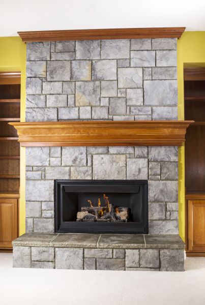 Fireplace Insert Assembly
